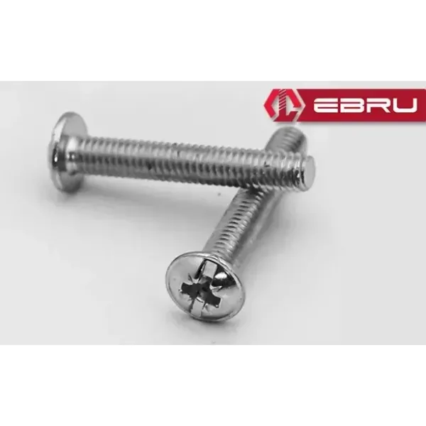 Yuvarlak Yıldız Başlı Rysb Kulp Vidası, Civata M4x10 - 500 Adet