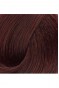 Premium 5.4 Açık Kestane - Kalıcı Krem Saç Boyası 50 g Tüp